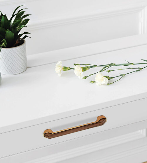 Cabinet Handles Premium